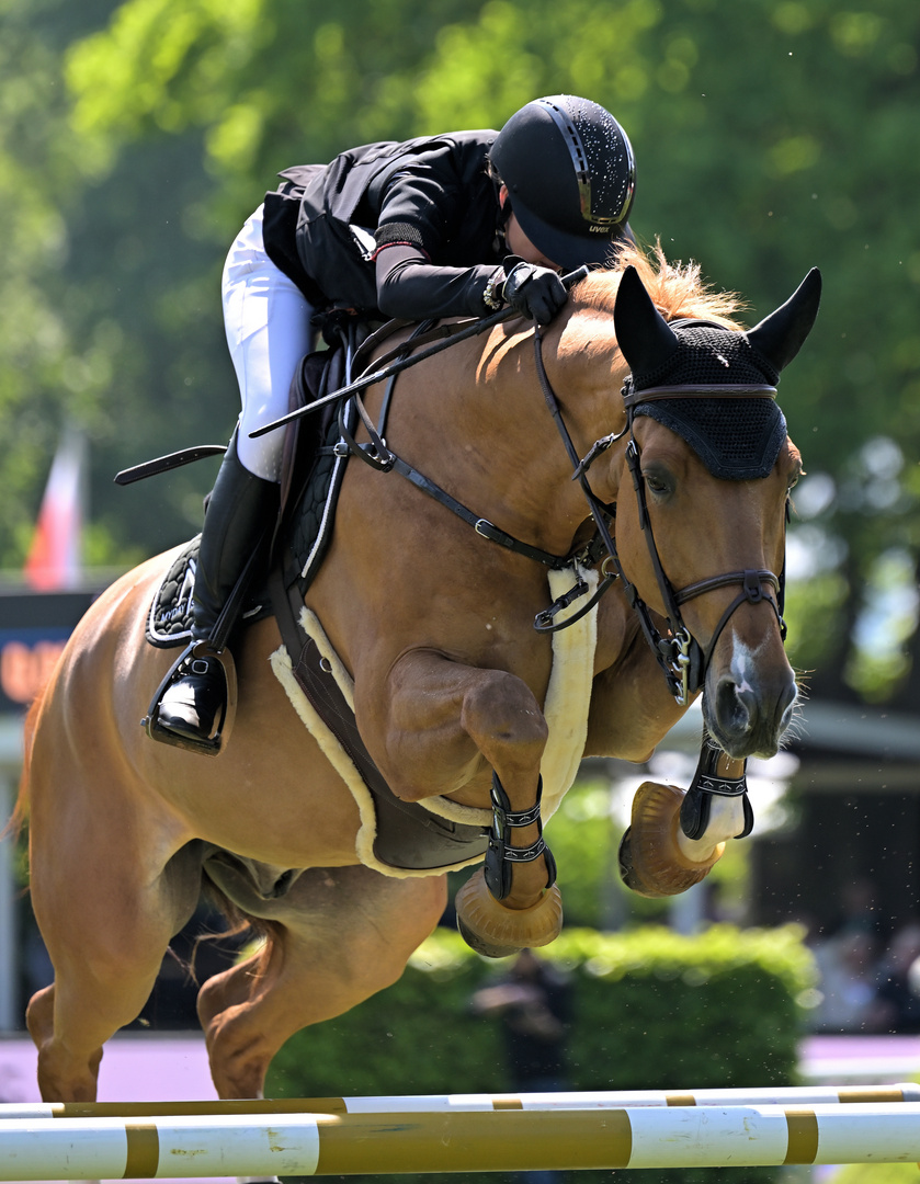 Spring Derby 2024 in Hamburg 