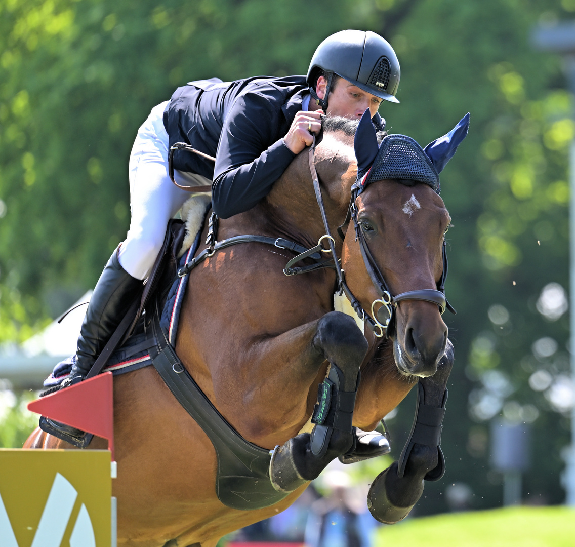 Spring Derby 2024 in Hamburg 