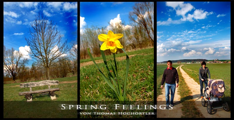 Spring Feelings - Frühlingsgefühle