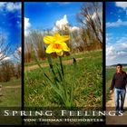 Spring Feelings - Frühlingsgefühle