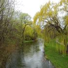 Spring Floods and Rain