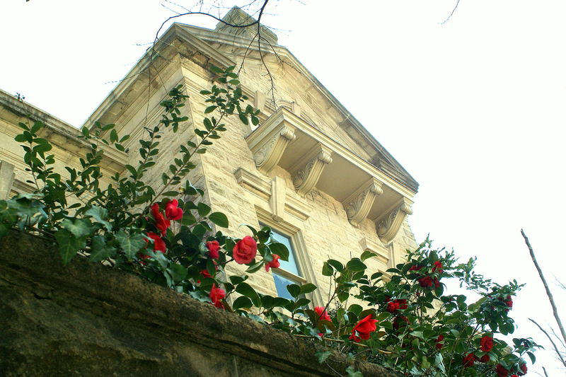 Spring flowers by Greek style