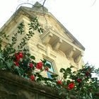 Spring flowers by Greek style