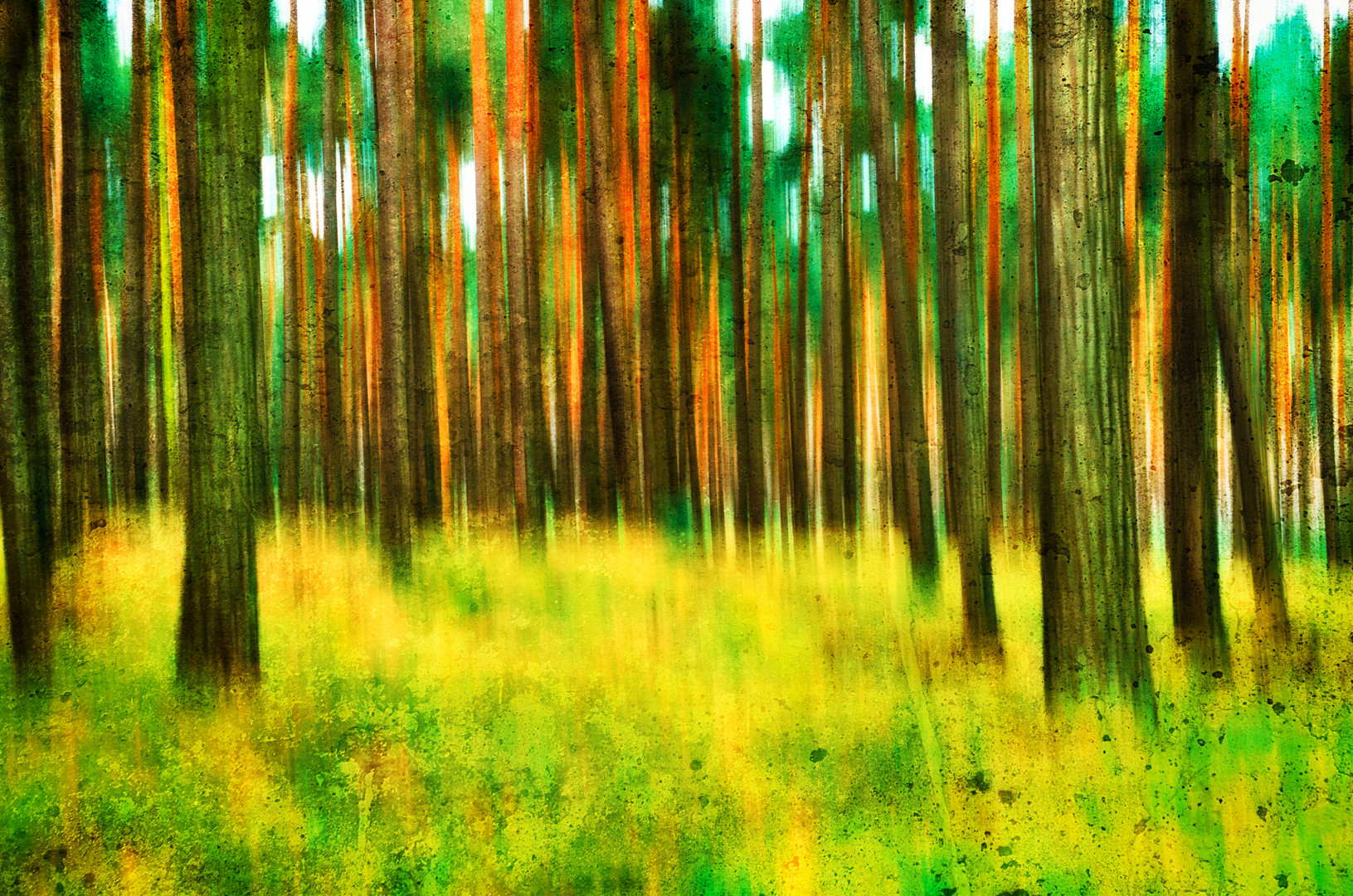 Spring Forest Colors