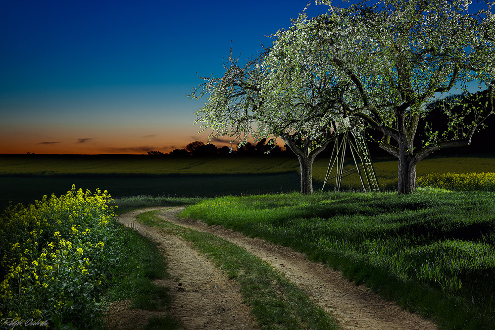 spring iluminated - lightpainting