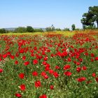 Spring in Anatolia