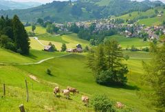 Spring in Appenzell 2