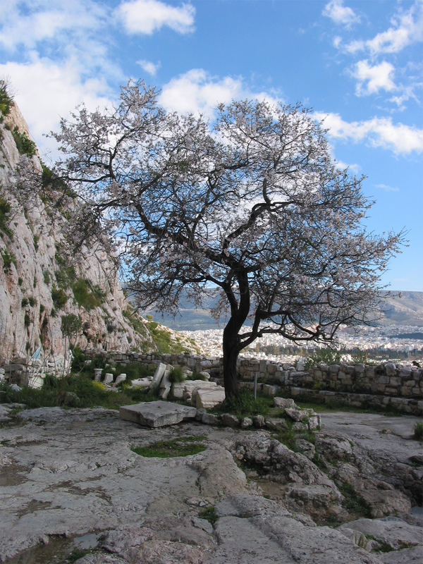 spring in athens