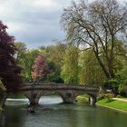 Spring in Cambridge