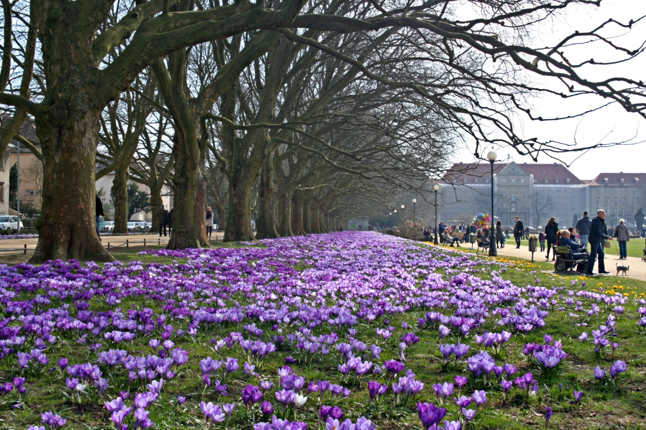 Spring in city park