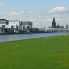 Spring in Cologne