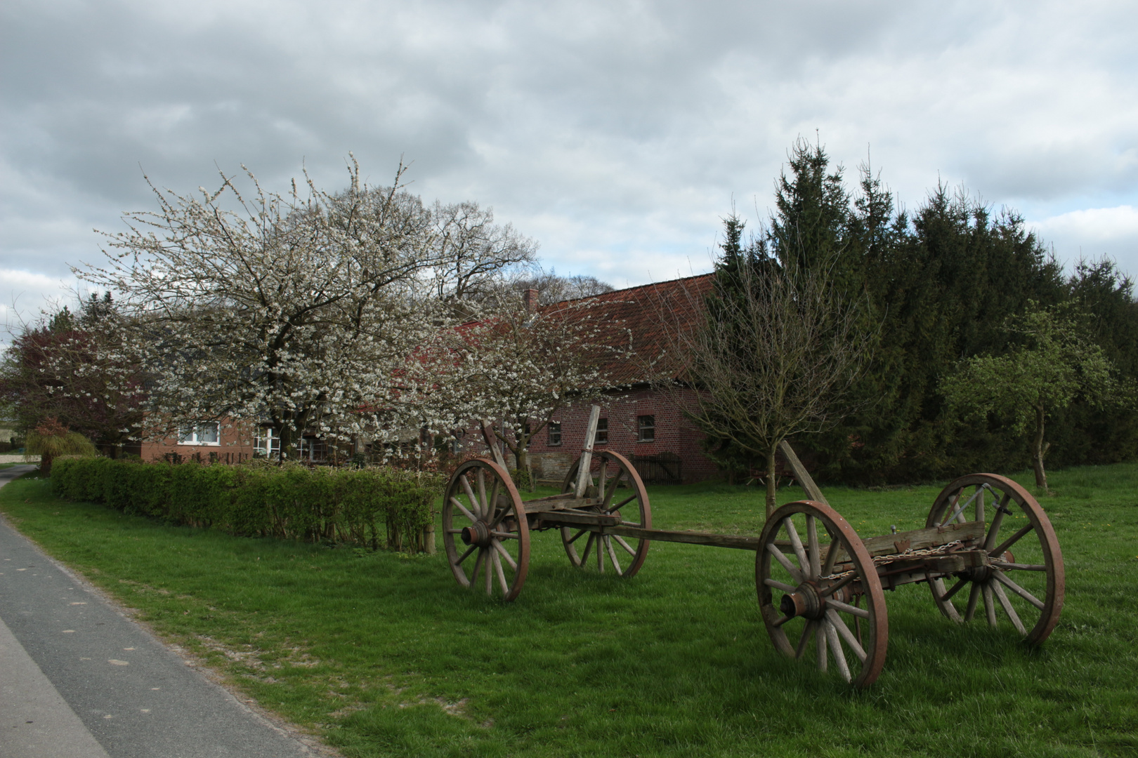 Spring in Darfeld