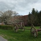 Spring in Darfeld