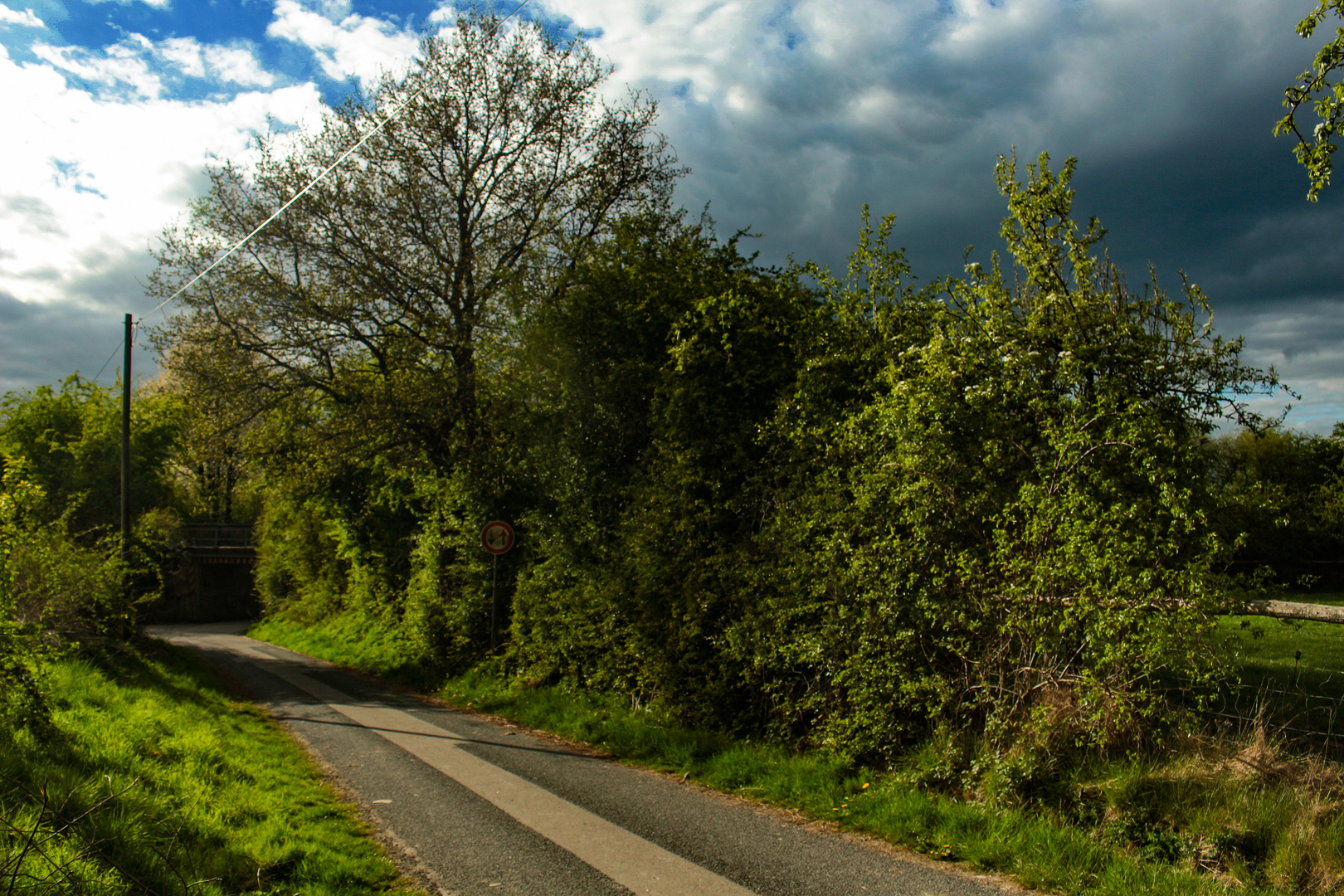 Spring in Darfeld