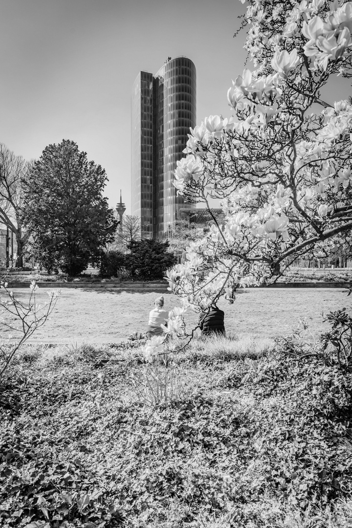 Spring in Düsseldorf