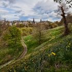 Spring in Edinburgh