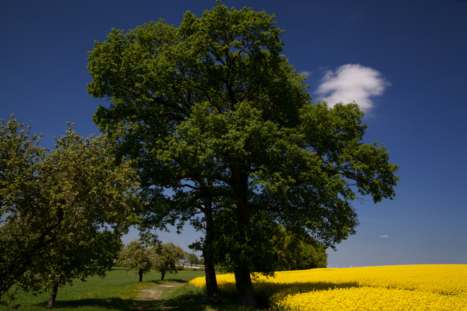 Spring In Germany