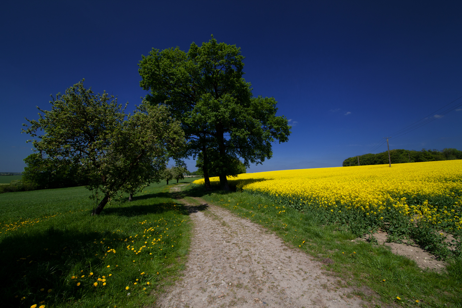 Spring In Germany