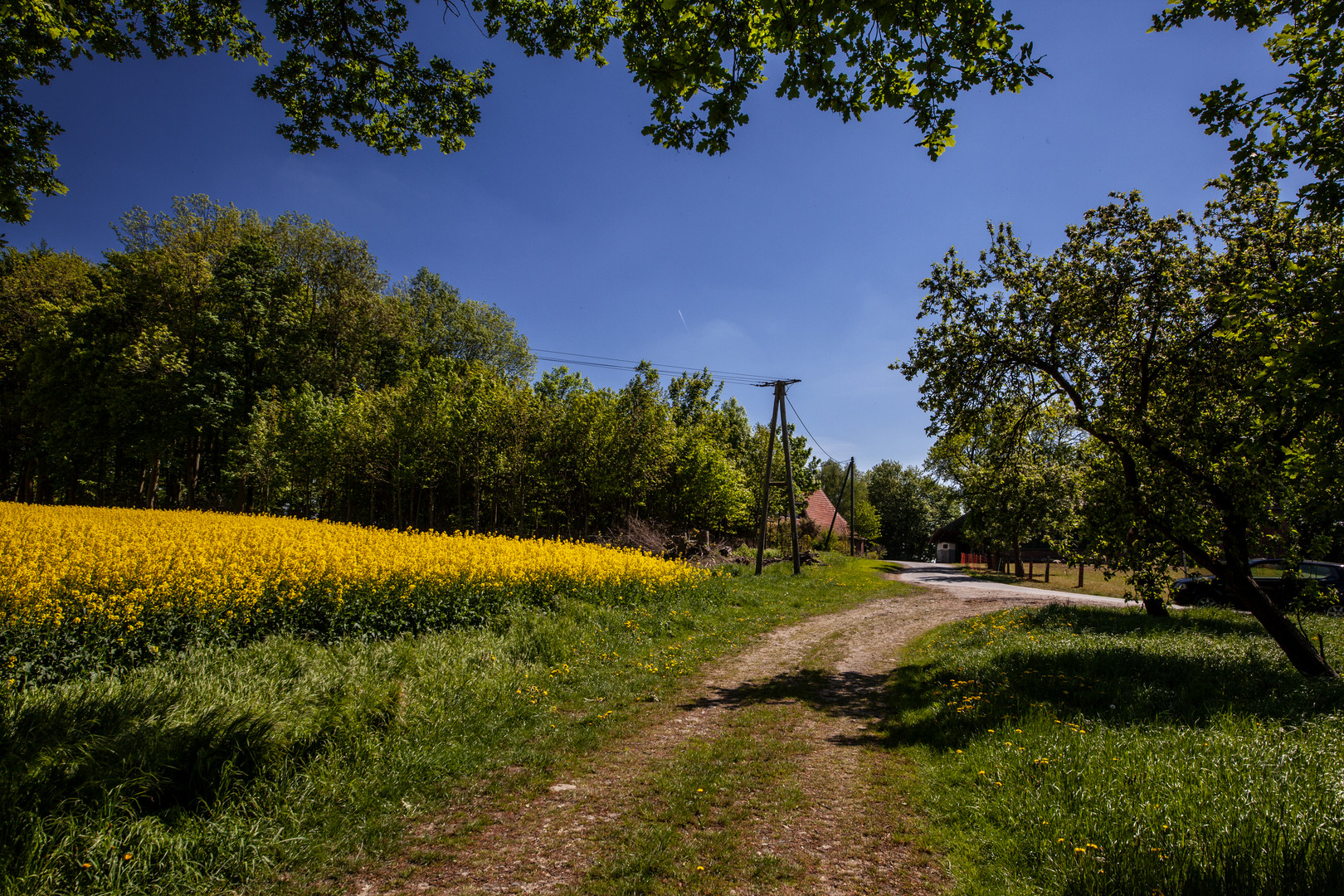 Spring In Germany