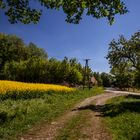 Spring In Germany