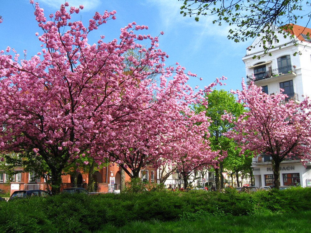 Spring in Hamburg