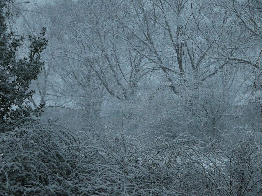 spring in Holland...