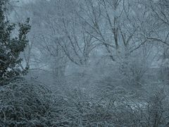 spring in Holland...