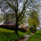 spring in Holland