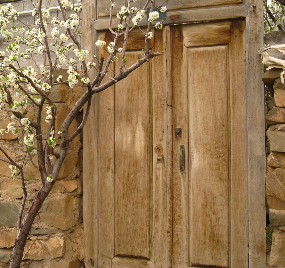 Spring in Iran Shahmirzad (near Semnan)