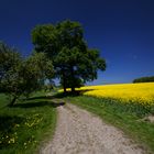 Spring in Oberdarfeld