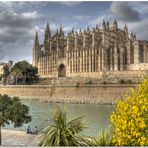 Spring in Palma...