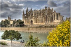 Spring in Palma...