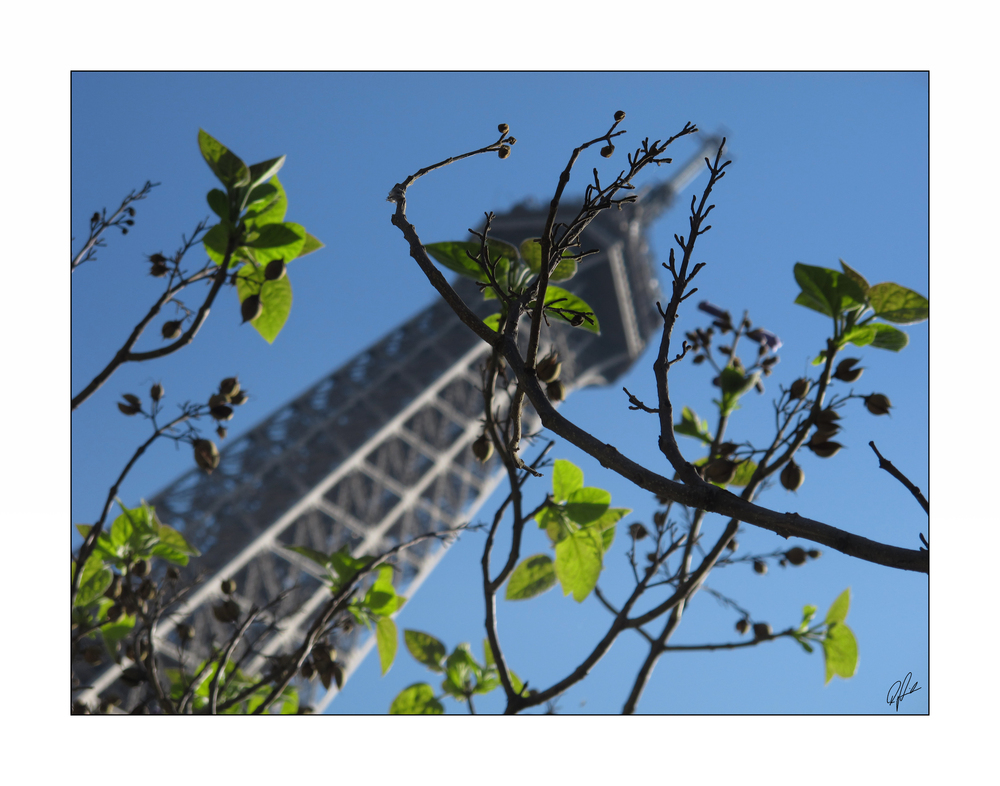 Spring in Paris