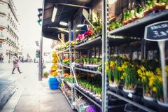 Spring in Paris
