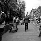 Spring in Paris, ...sympathetic flusher near "Notre Dame", March 2013