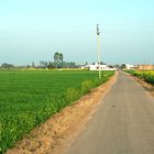 Spring in Punjab