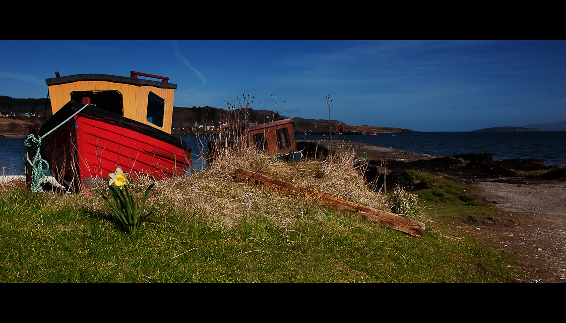 Spring in Scotland II