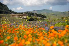 spring in Sicily