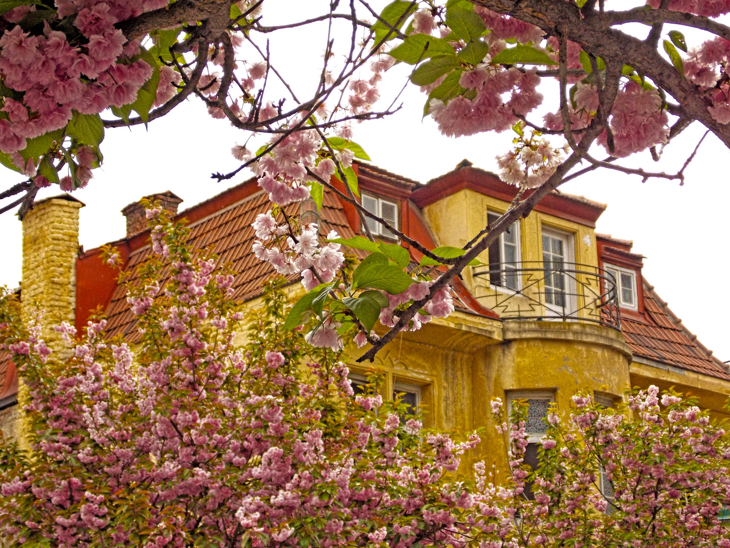 Spring in Skopje