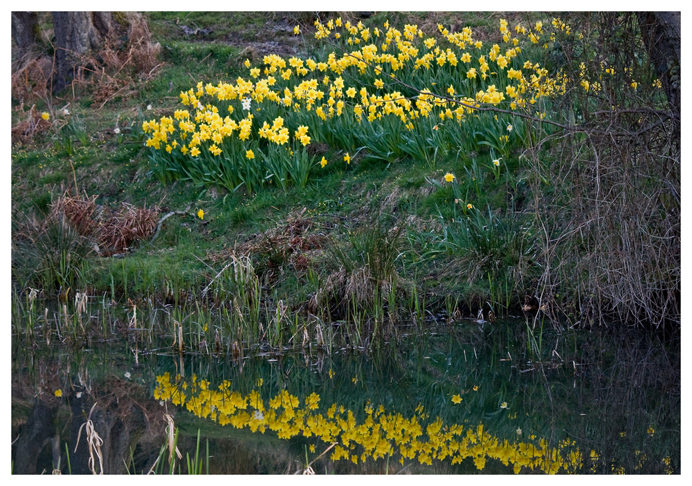 Spring in the air at last