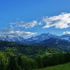 spring in the alps