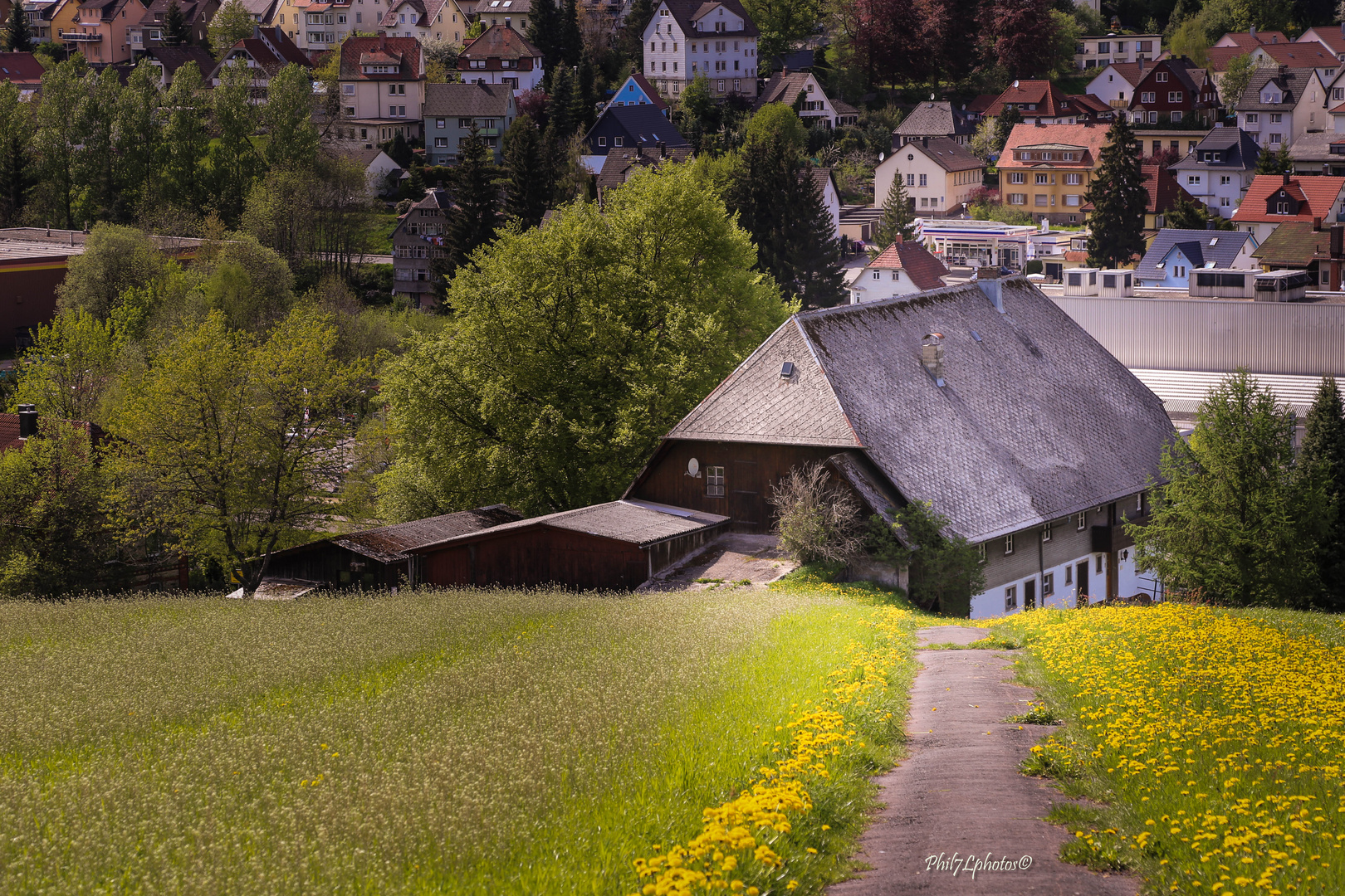 Spring in the black forest!!!