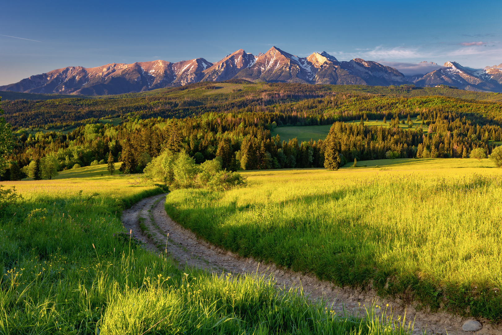 Spring in the mountains