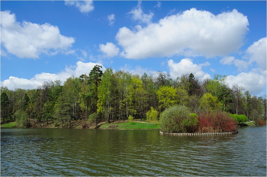 Spring in the park