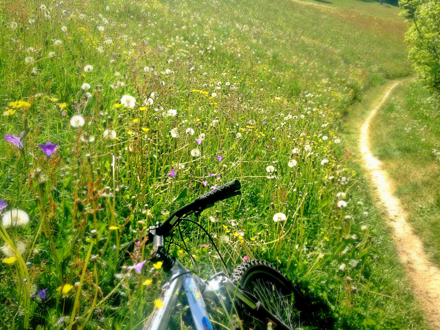 Spring in Valle Aurina