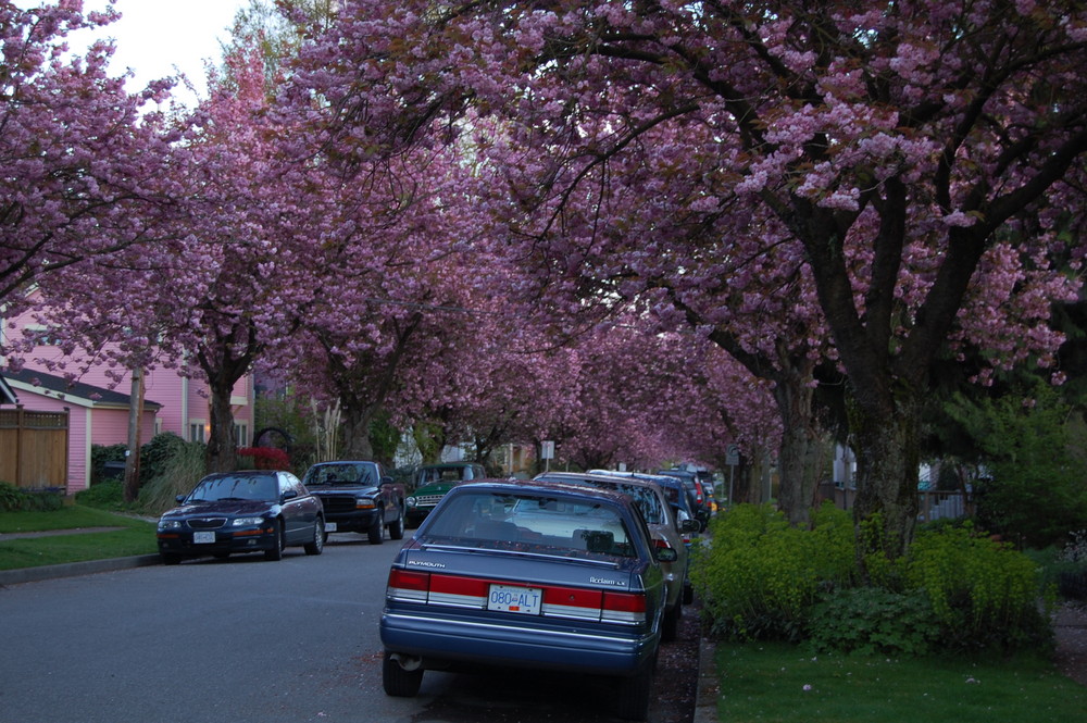 Spring in Vancouver