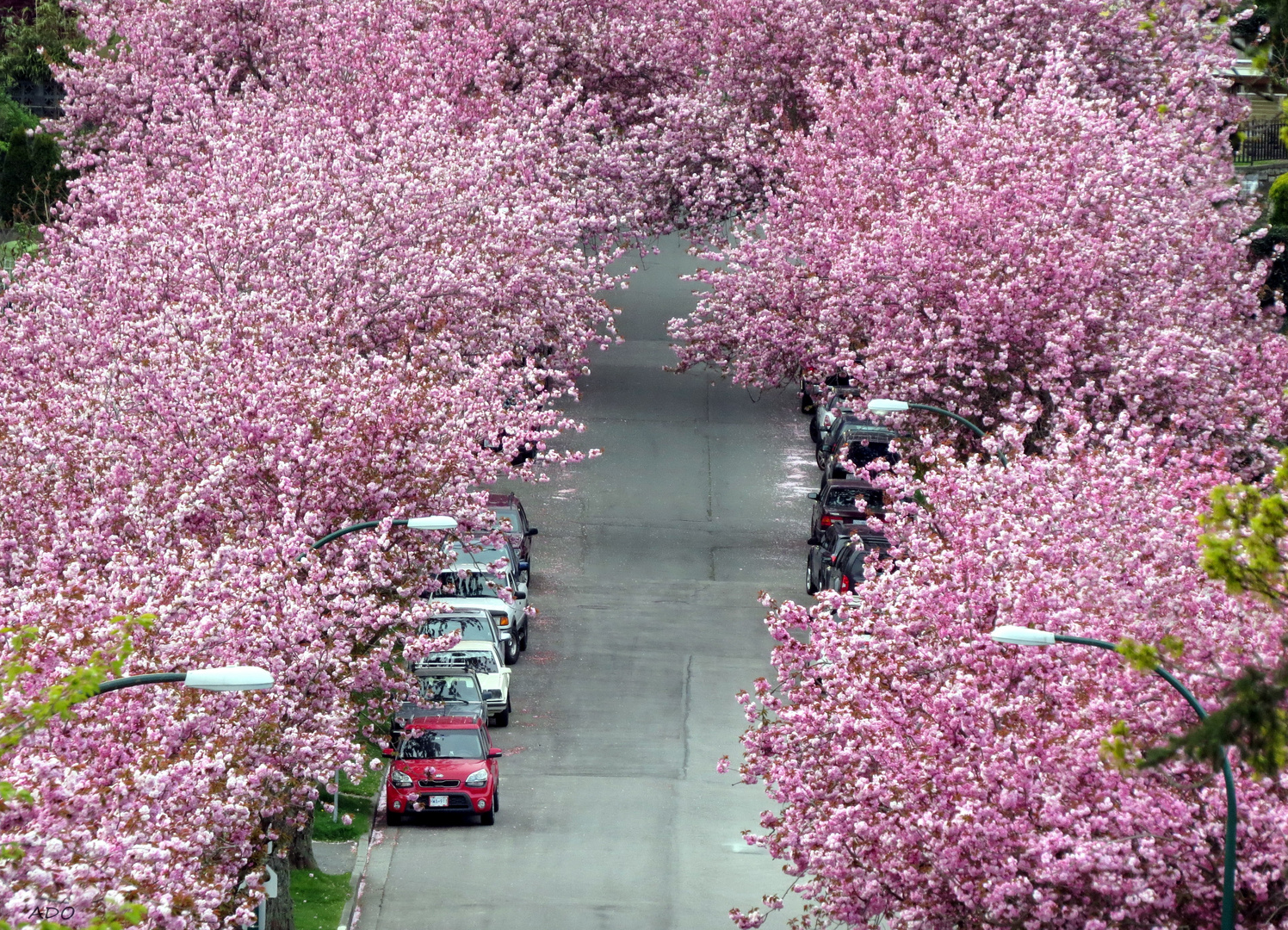 Spring in Vancouver