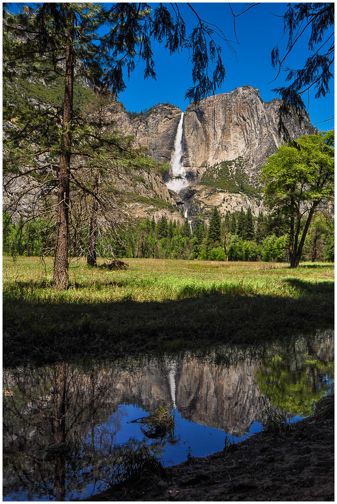 spring in yosemite