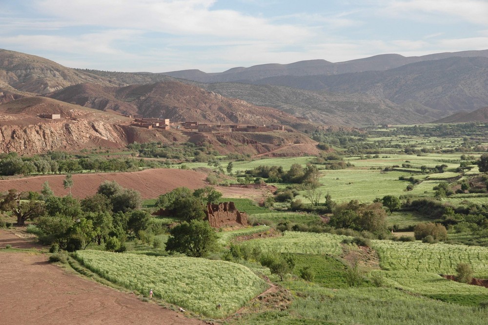 Spring is green in Morocco