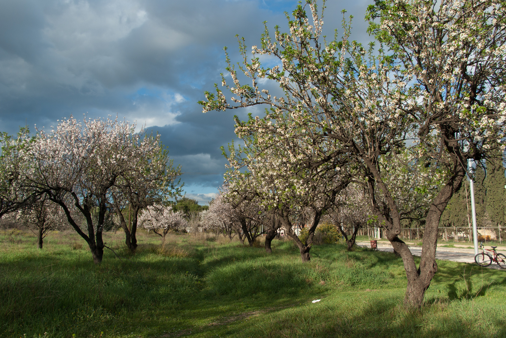 Spring is here!